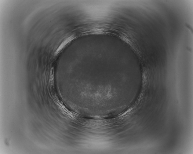 X0000100881450200806201235