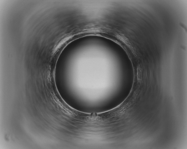 X0000100881452200806201235
