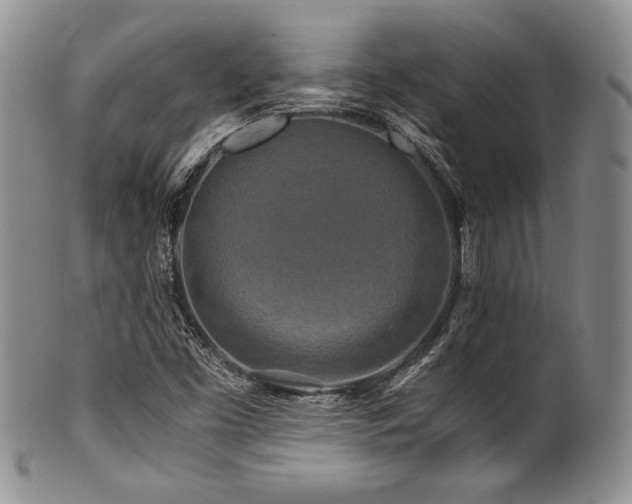 X0000100881453200806201235