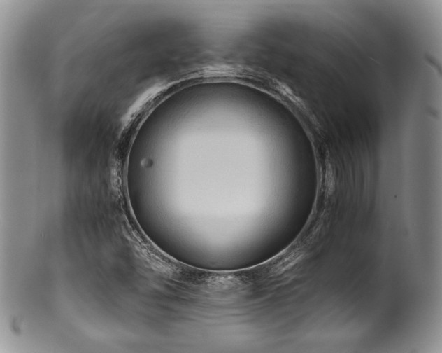 X0000100881454200806201235