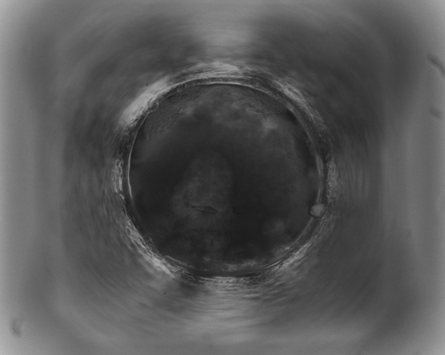 X0000100881455200806201235