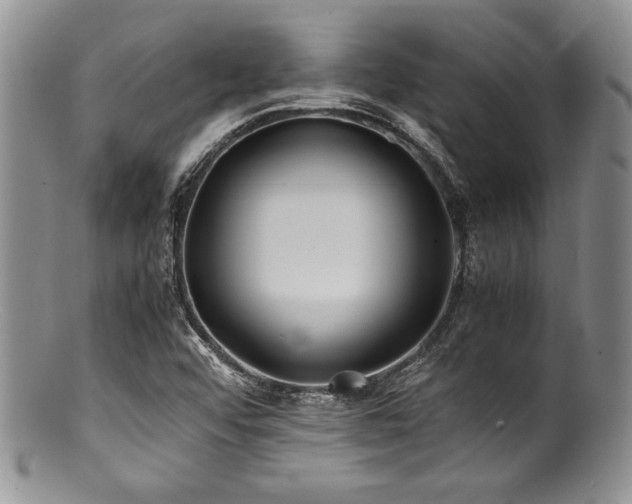 X0000100881456200806201235