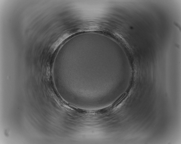 X0000100881457200806201235