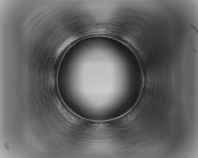 X0000100881458200806201235