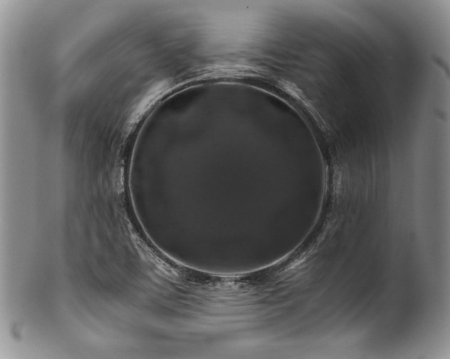 X0000100881459200806201235