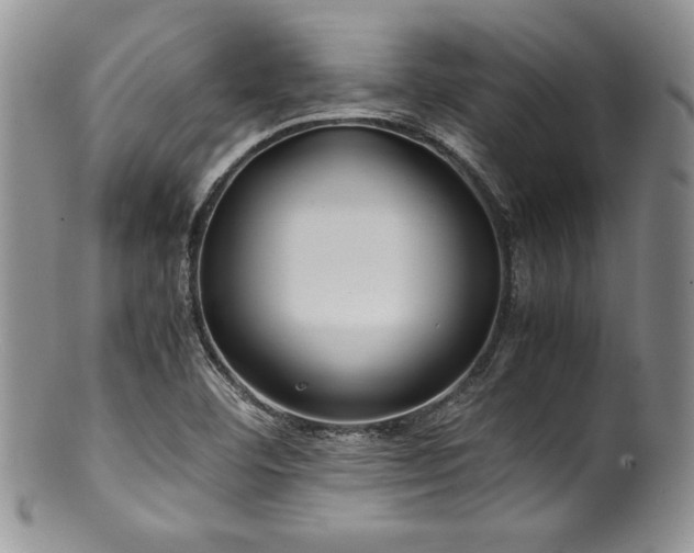 X0000100881460200806201235