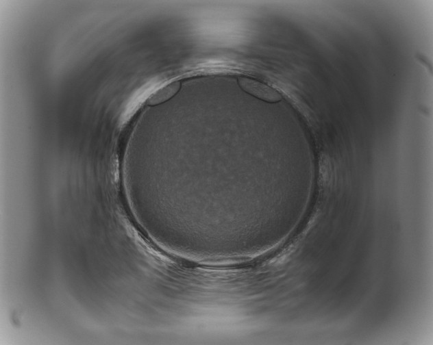 X0000100881461200806201235