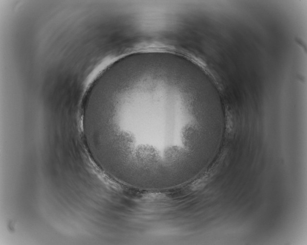 X0000100881462200806201235