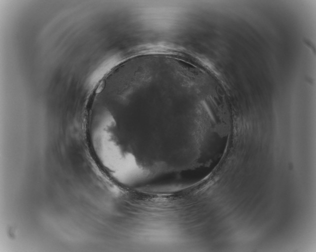 X0000100881463200806201235