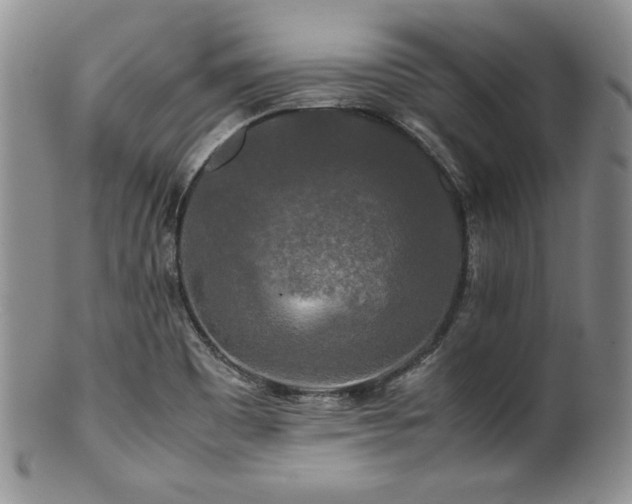 X0000100881465200806201235
