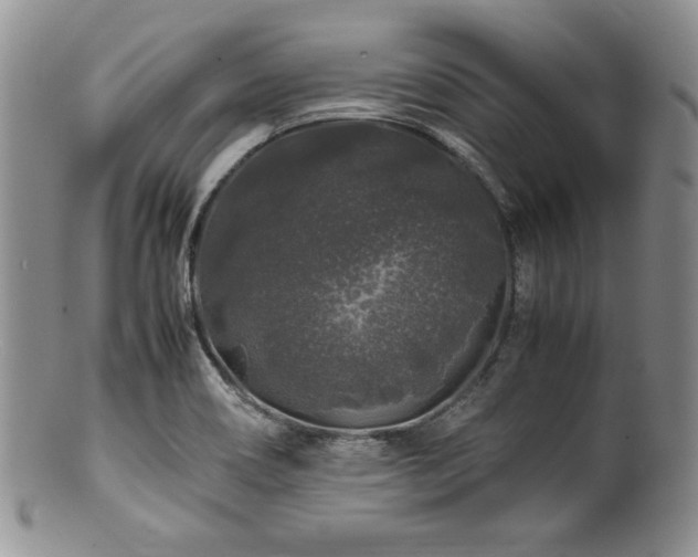 X0000100881466200806201235
