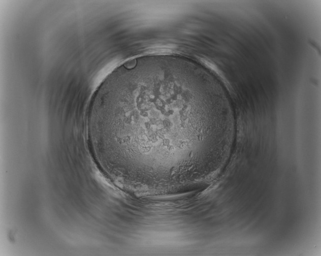 X0000100881467200806201235