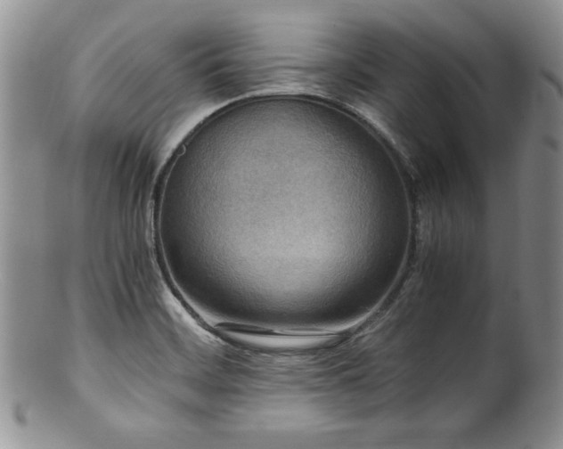 X0000100881468200806201235