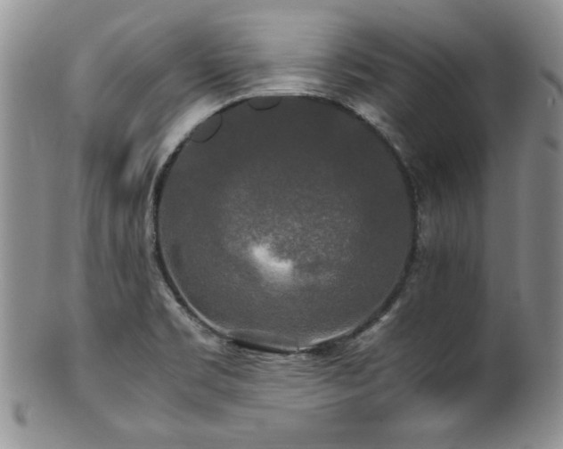 X0000100881469200806201235