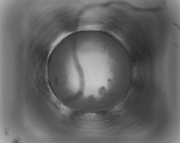 X0000100881470200806201235