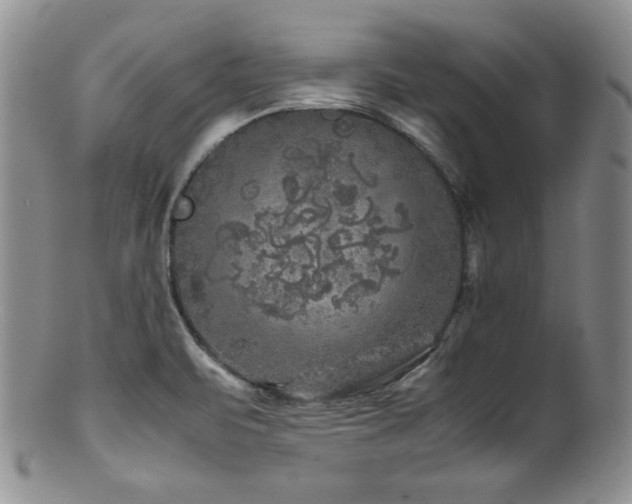 X0000100881471200806201235