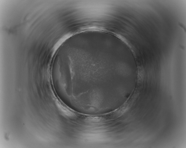 X0000100881474200806201235