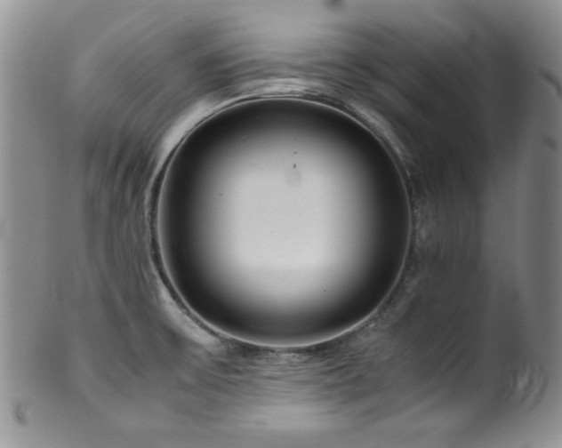 X0000100881475200806201235