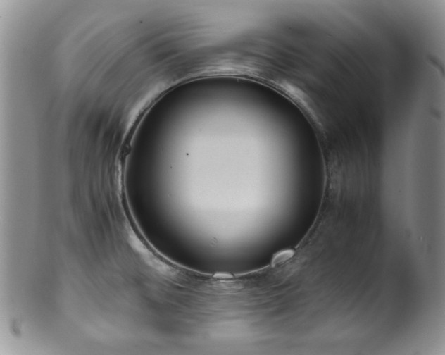 X0000100881476200806201235