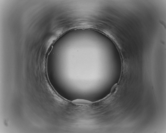 X0000100881477200806201235