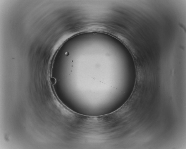 X0000100881478200806201235