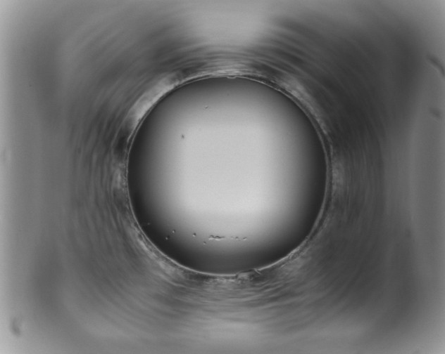 X0000100881481200806201234