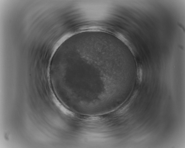 X0000100881482200806201234