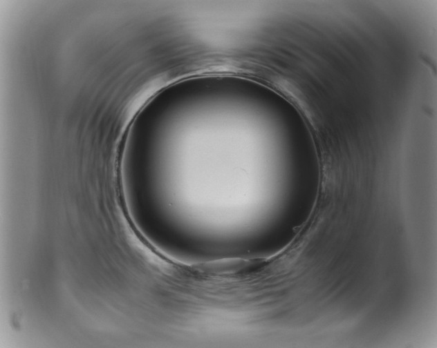 X0000100881483200806201234