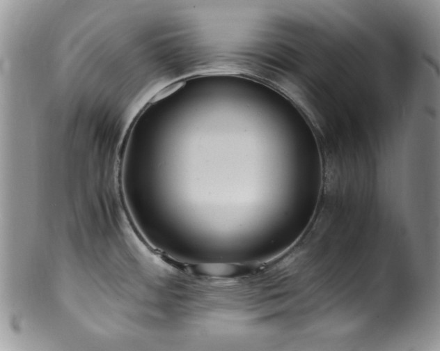 X0000100881484200806201234