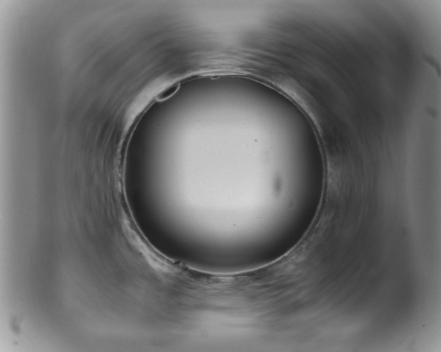 X0000100881485200806201234