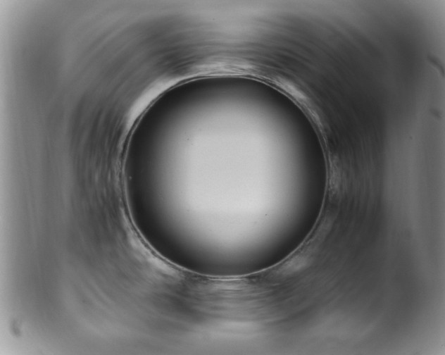 X0000100881486200806201234