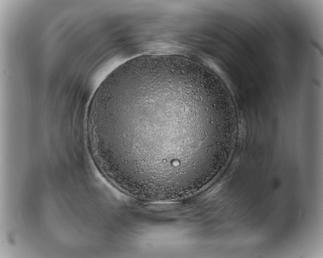 X0000100881487200806201234