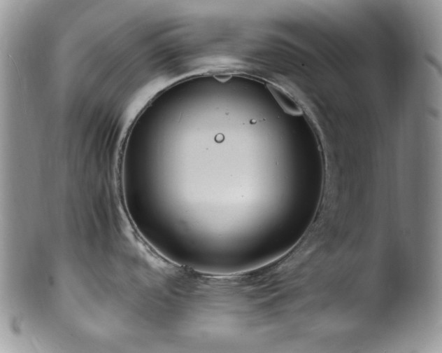 X0000100881488200806201234