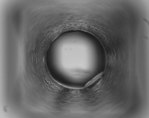 X0000100881489200806201233