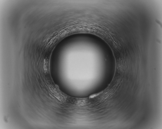 X0000100881490200806201233