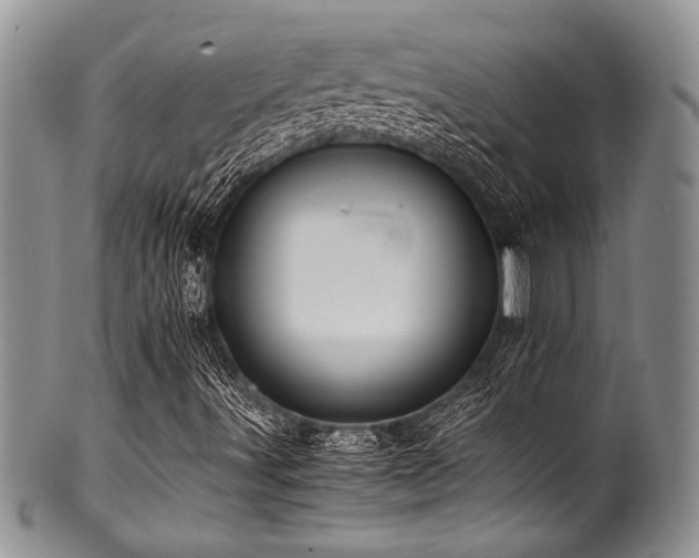 X0000100881491200806201233