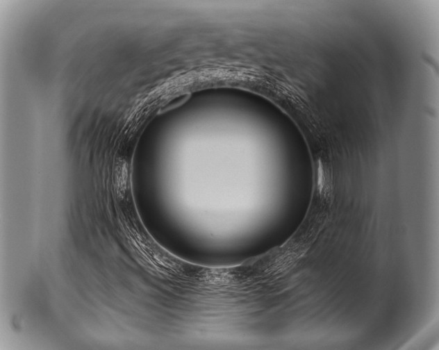 X0000100881492200806201233