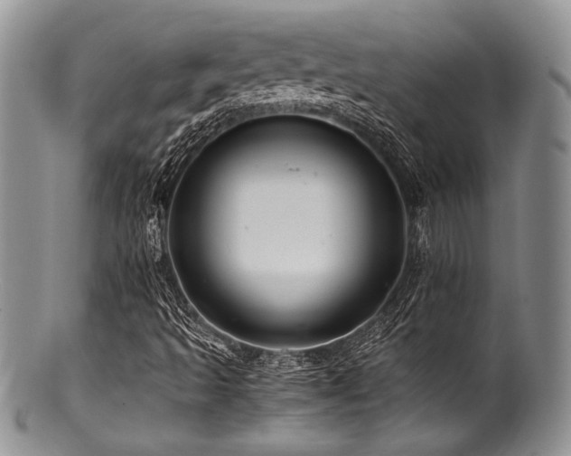 X0000100881493200806201233