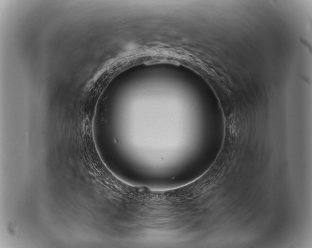 X0000100881495200806201234