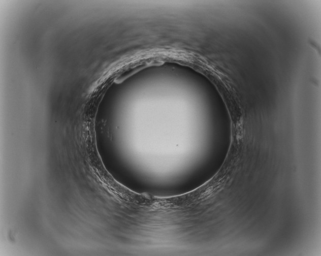 X0000100881496200806201234