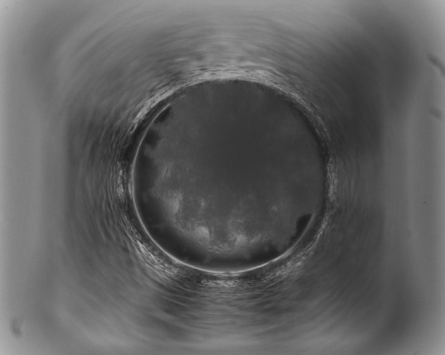 X0000100881497200806201234