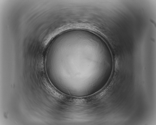 X0000100881498200806201234