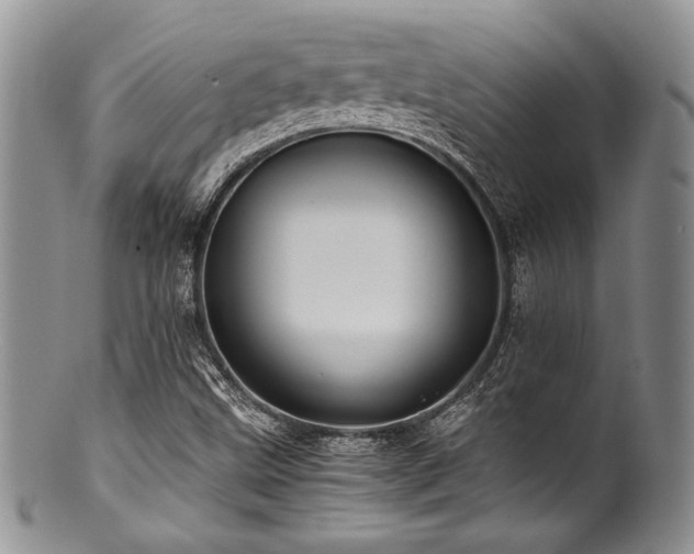 X0000100881499200806201234