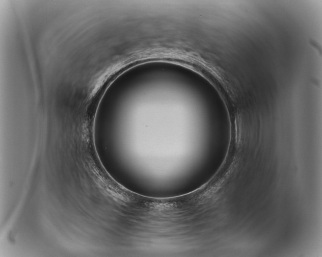 X0000100881501200806201234