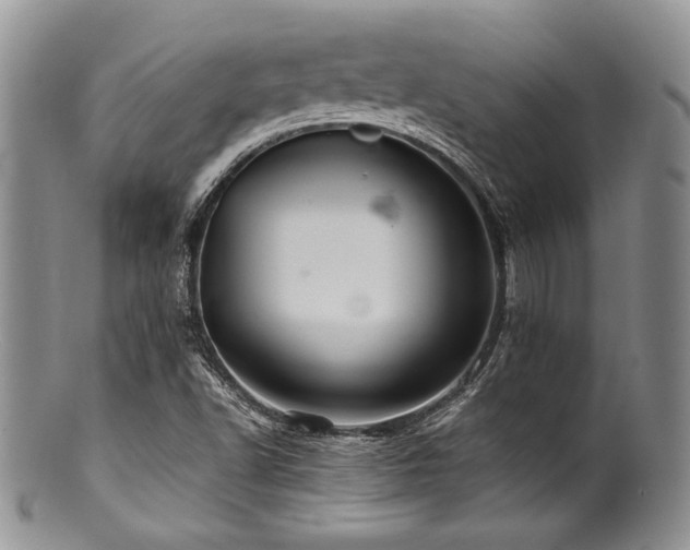 X0000100881502200806201234