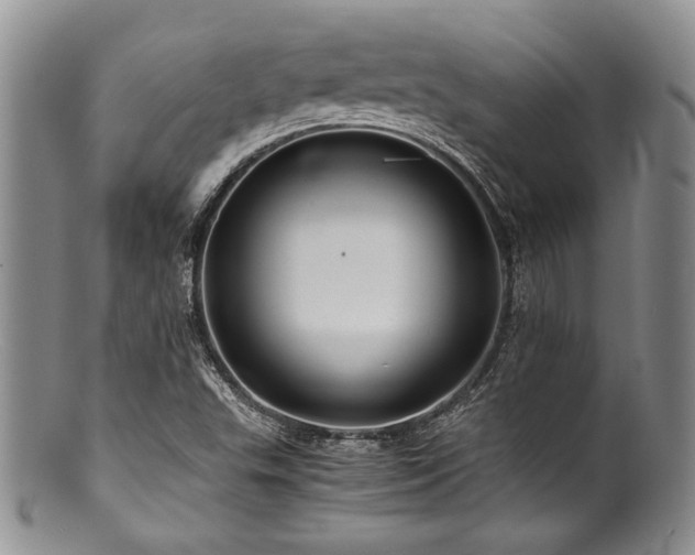 X0000100881503200806201234