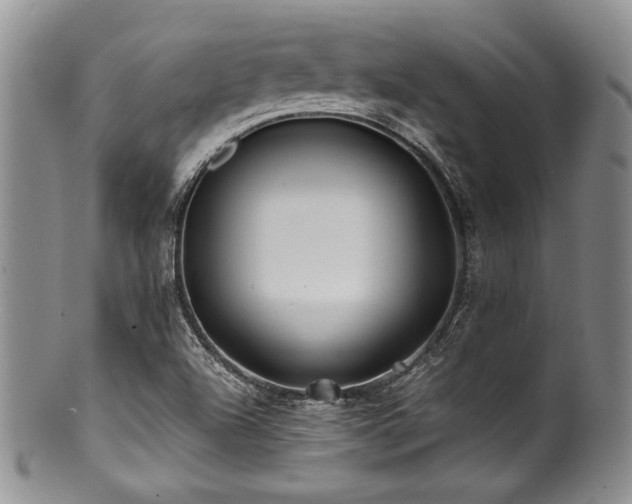 X0000100881504200806201234