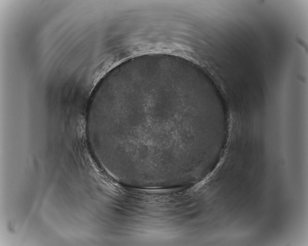 X0000100881505200806201234