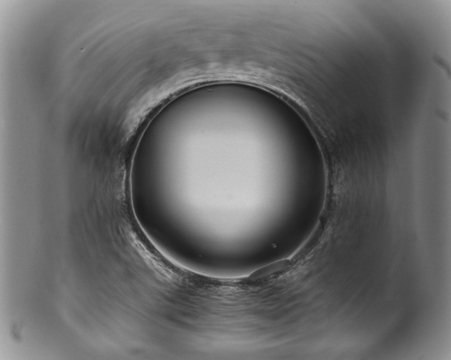 X0000100881507200806201234