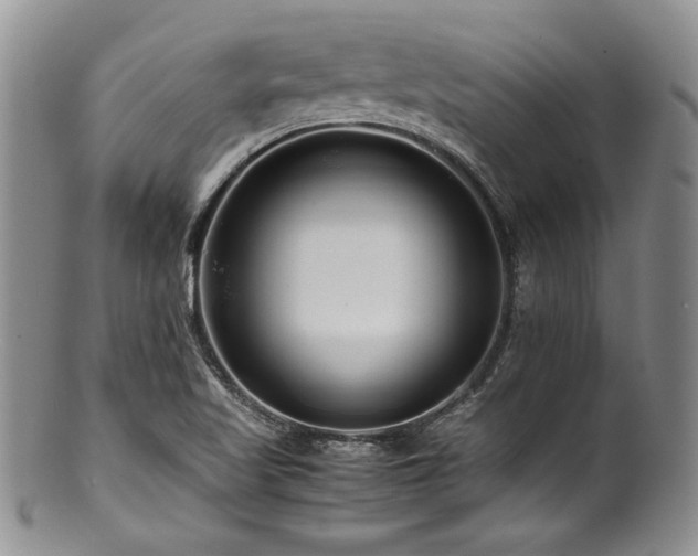 X0000100881509200806201234